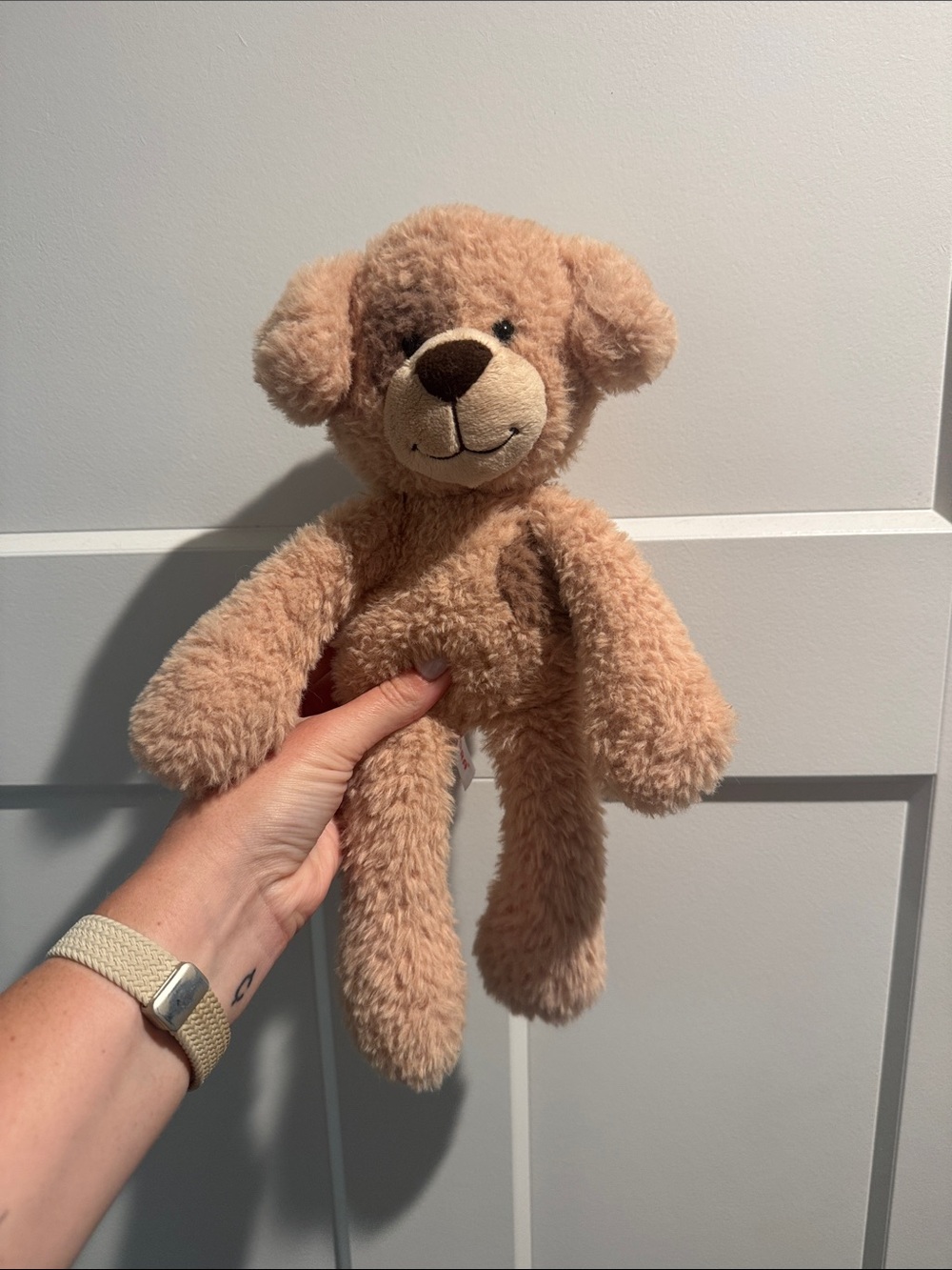 Stuffed puppy